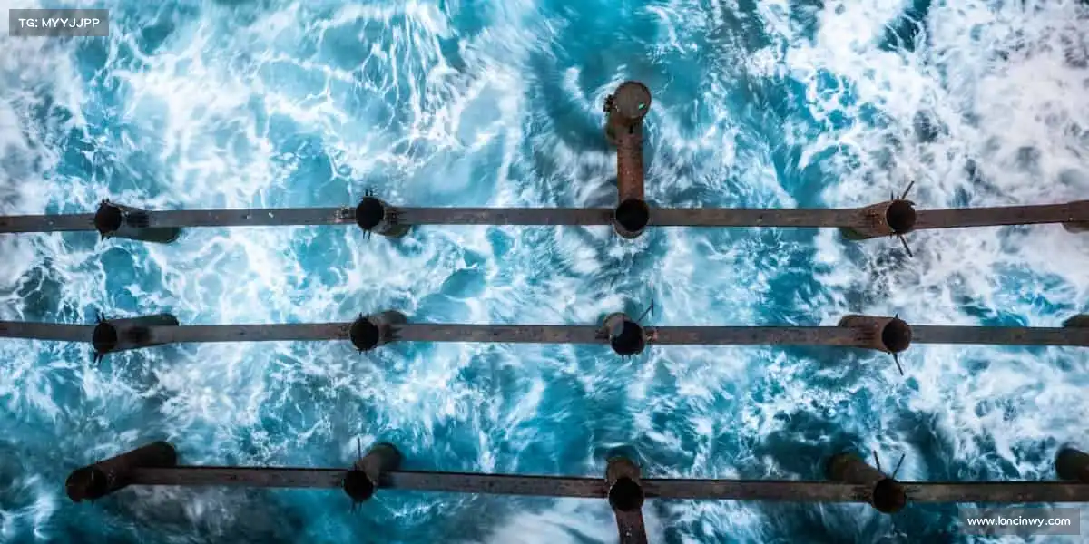 星空官网每一次跳跃,都是对极限的挑战!⛹️♀️